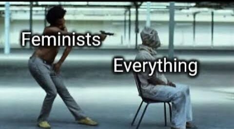 THE FEMINISM EPIDEMIC