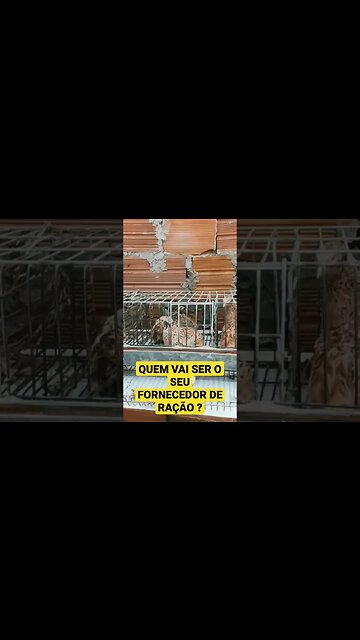 7 de fevereiro de 2023