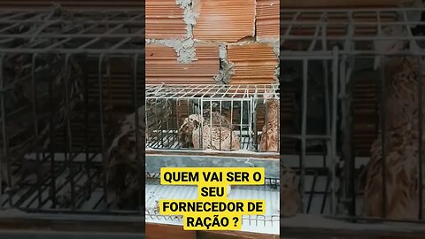 7 de fevereiro de 2023