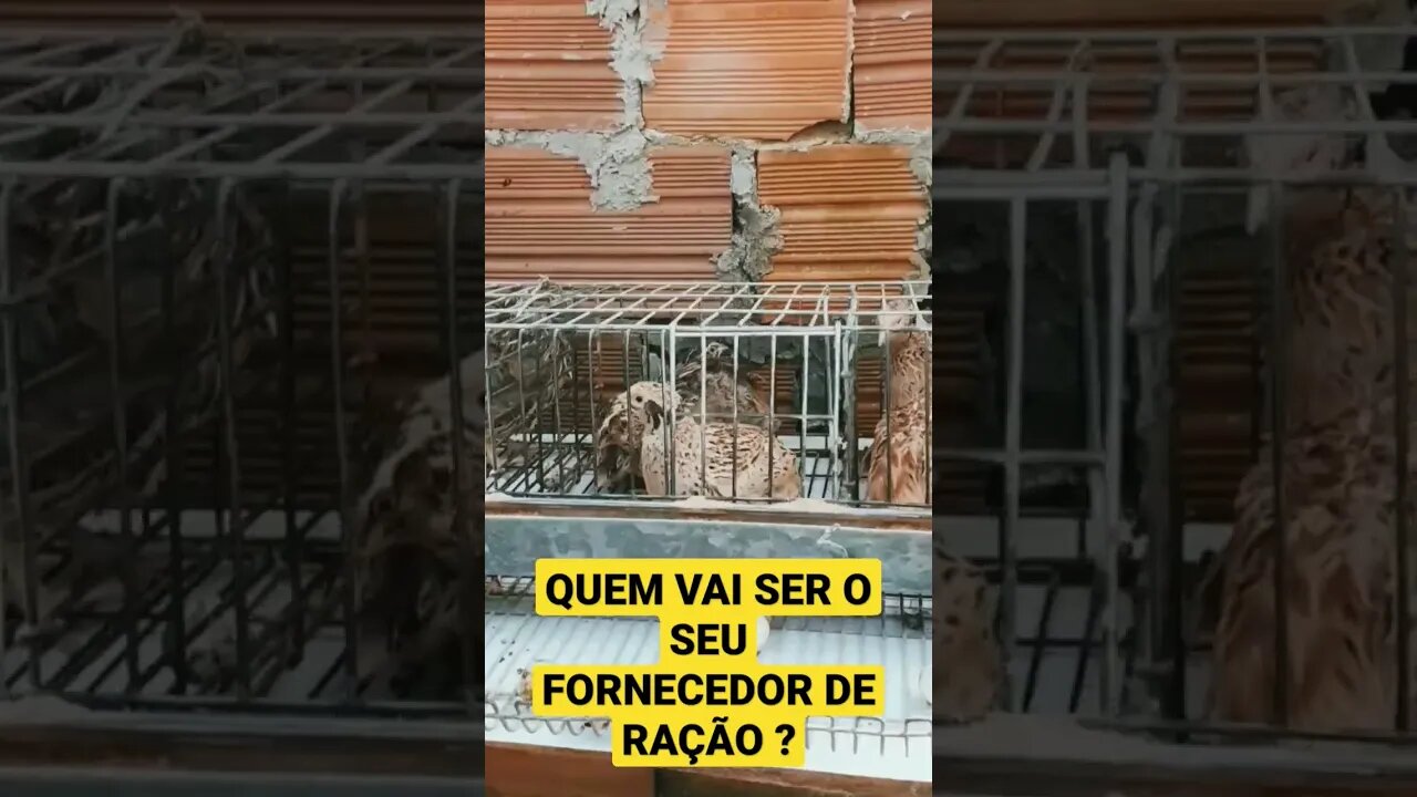 7 de fevereiro de 2023