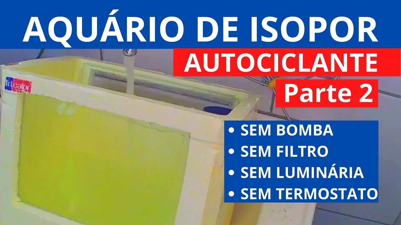 š“ AquĆ”rio AUTOCICLANTE de ISOPOR DIY - Sem Filtro, Sem Termostato, Sem LuminĆ”ria ( Parte2 )