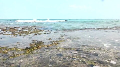 Close-Up View of Sea Waves on Beach Shore