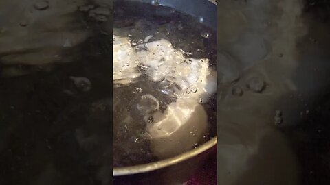 Boil my little Eggies!!!!
