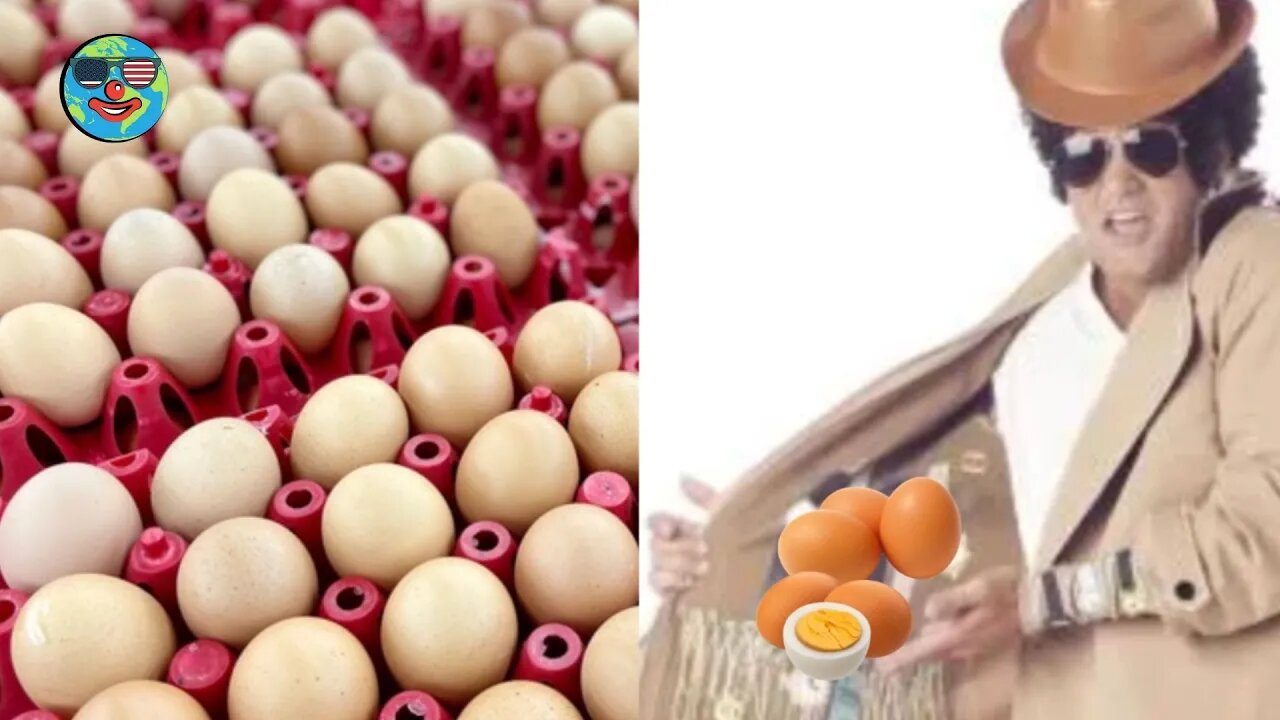Egg smuggling 🤨