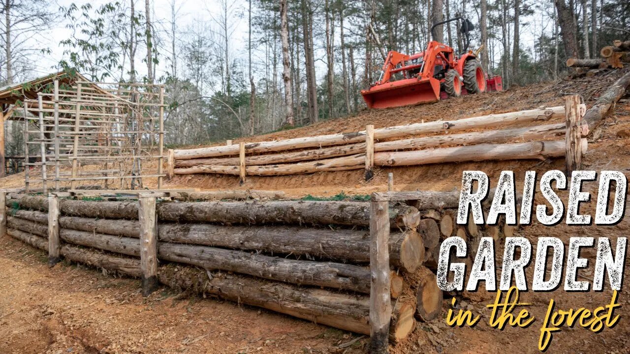 TIMBER FRAME RAISED BED GARDEN | FOREST GARDEN | LIVING OFF THE LAND