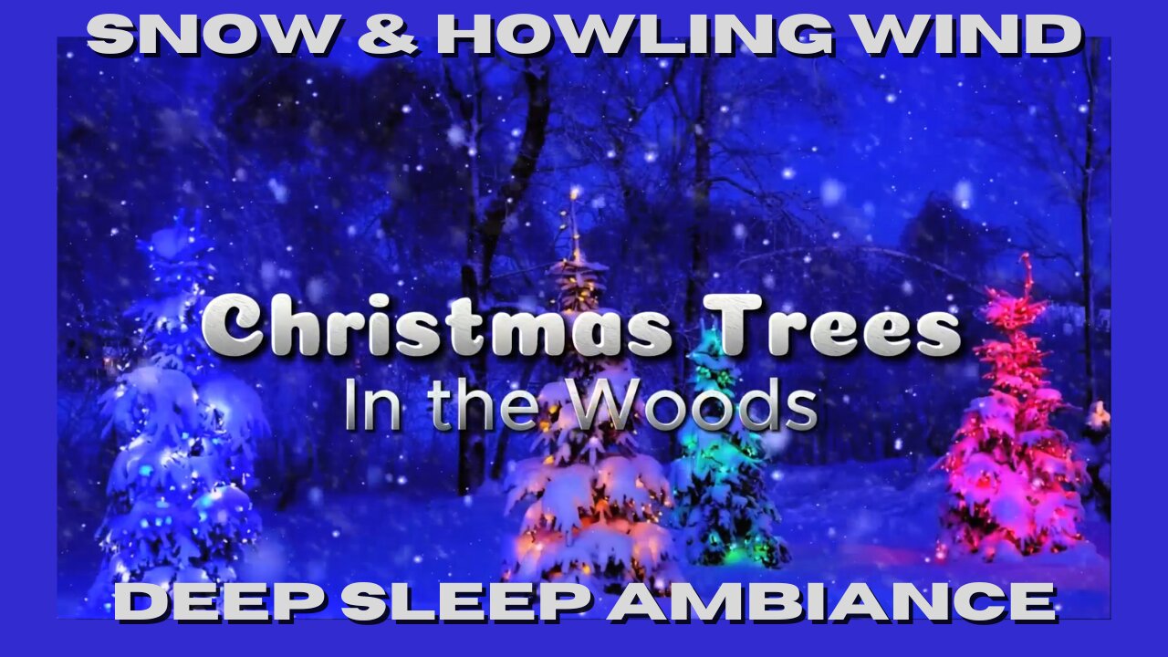 DEEP SLEEP / Snow and Howling Wind Ambiance -Christmas Trees in the Woods