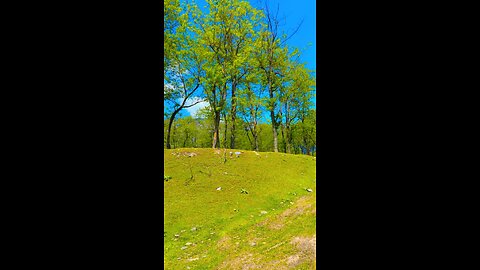 Nature || Mountains || Kashmir