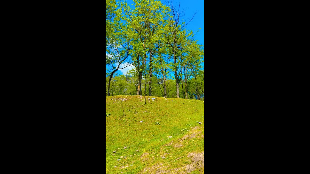 Nature || Mountains || Kashmir