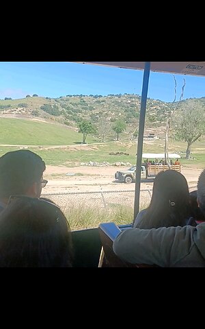 San Diego Zoo Safari Park