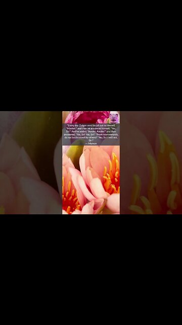 AWAKE!! AWAKE!! #shorts #spiritualjourney #spiritualgrowth