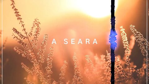 A Seara