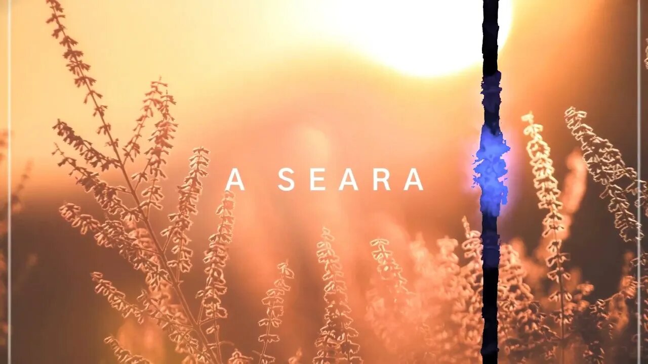 A Seara