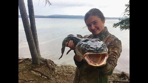 Hunting Fishing Loving Everyday: Living the Song - Moose Hunting, Fishing Rainbow Trout and Ling Cod