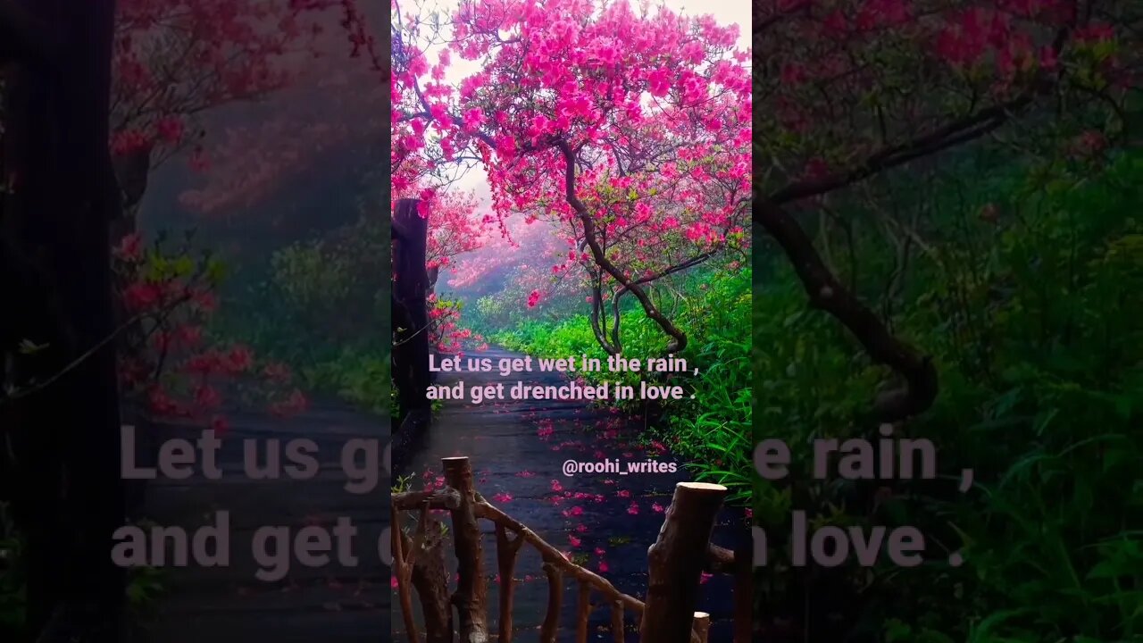 Let us get wet in the rain , and get drenched in love || Roohi Writes || #rainydayspecial