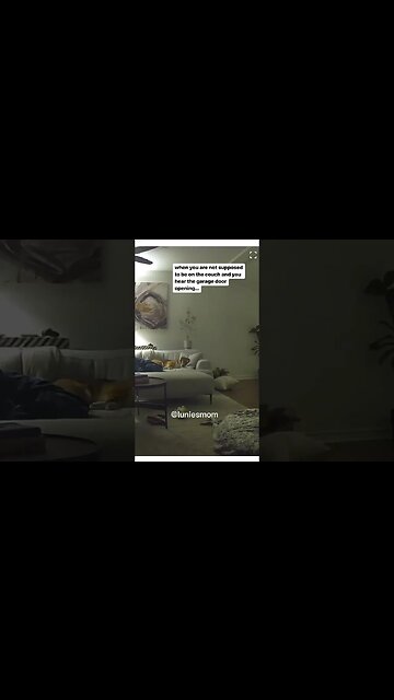 The way she rolls away gets me every time 🤣😍 #dog