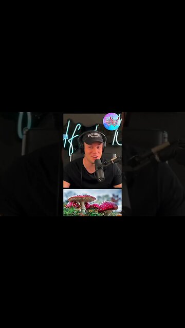 When that STARDEW VALLEY music HITS😵‍💫