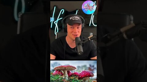 When that STARDEW VALLEY music HITS😵‍💫