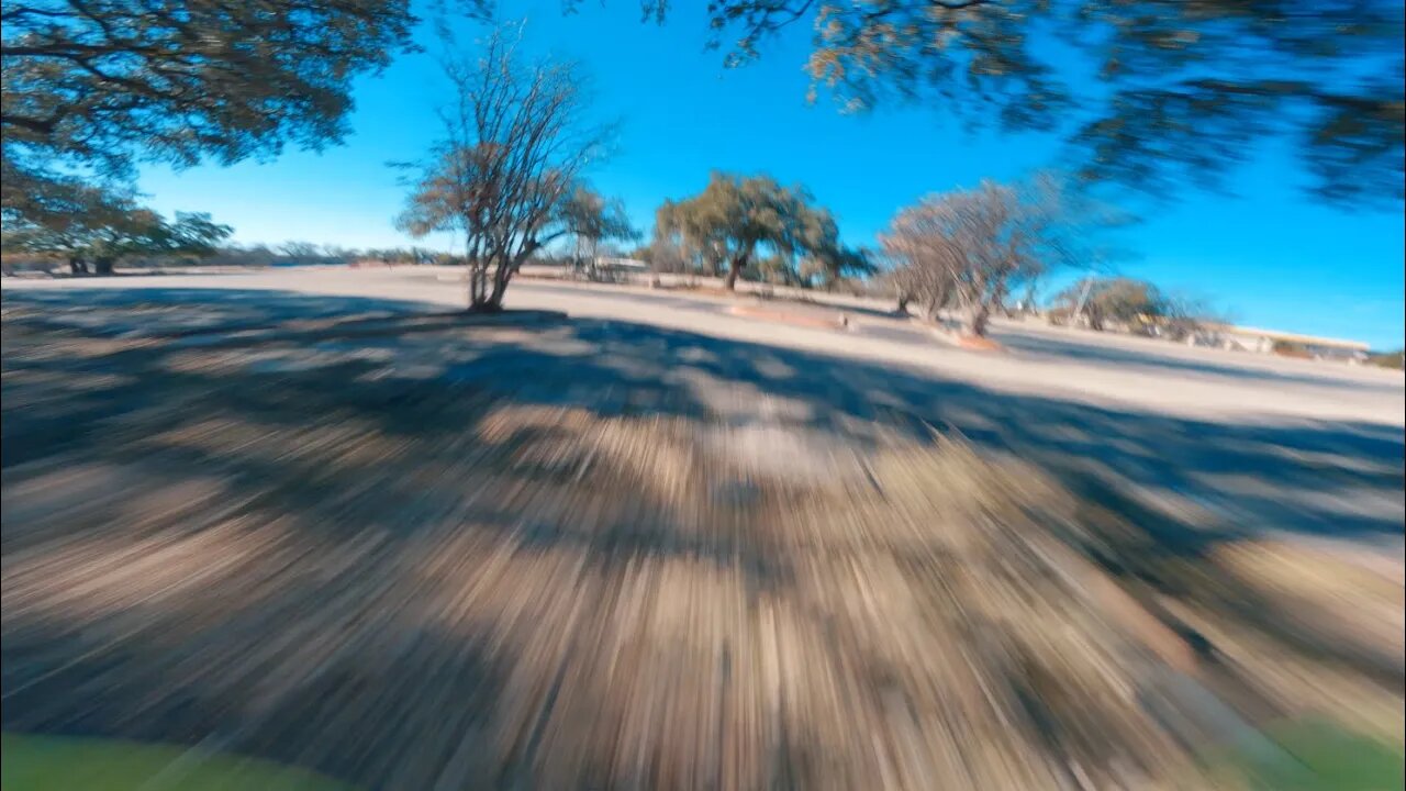 02/05/23, Vannystyle Oak Tree Fun