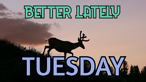 Better Lately - Tuesday