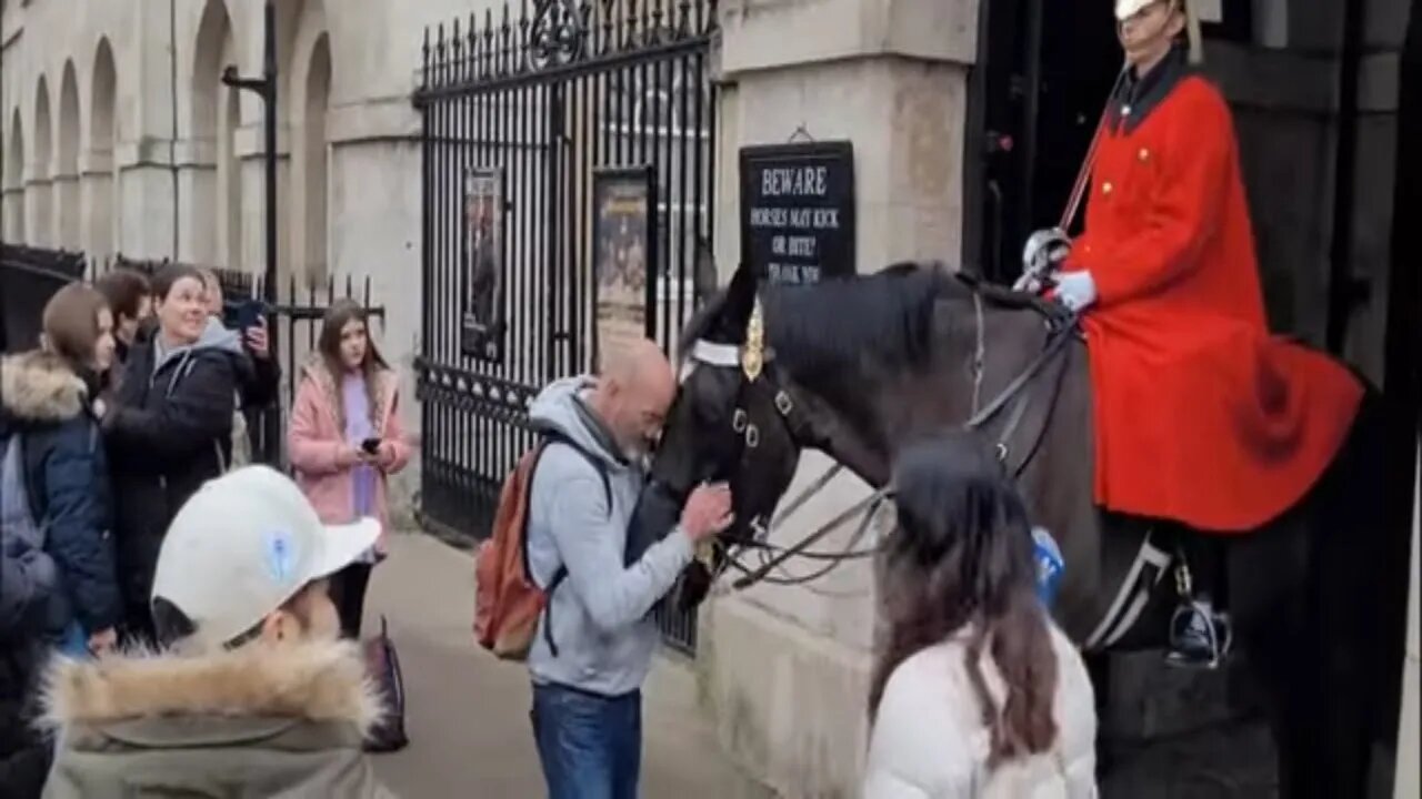 A bit over the top atention to the Horse #horseguardsparade