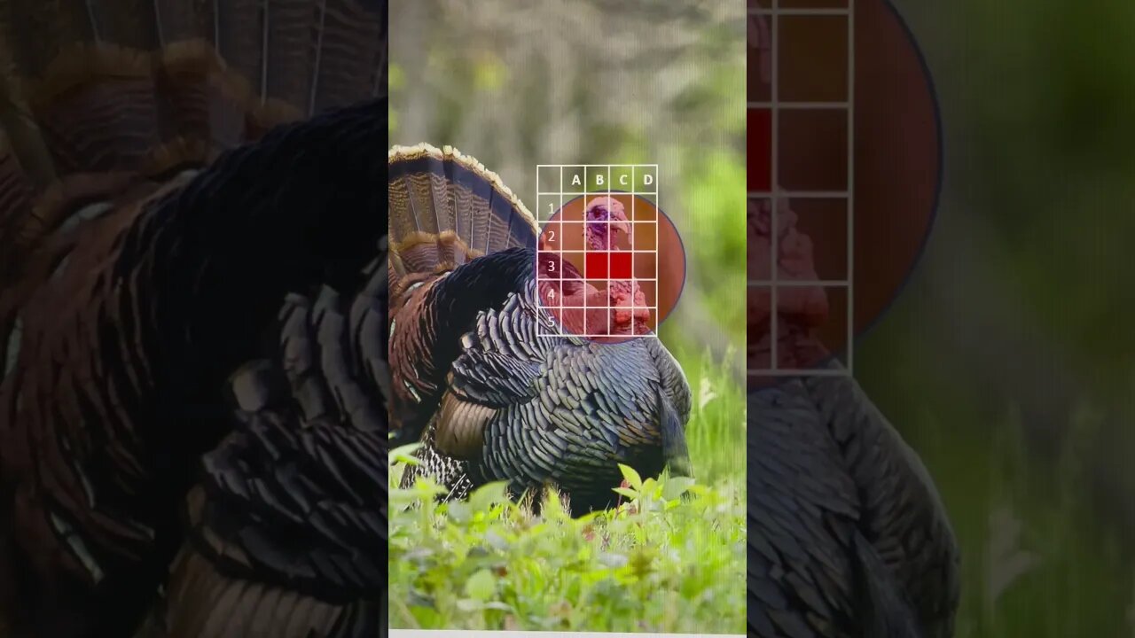 Pick your shot game. Where are you placing your bead??