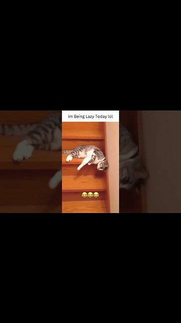 Im Being Lasy Today lol #short #shortsvideo #shorts #viral #shortsvideo #trending