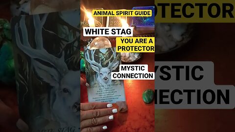 #asmrshorts #animalspiritguides #spiritualawakening #shortstarotreadings ANIMAL SPIRIT GUIDE 🔮🔥🌄