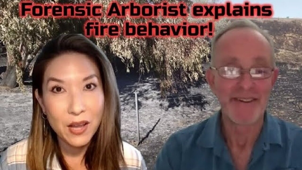 Forensic Arborist Explains Fire Behavior Traci Derwin Interviews Robert Brame