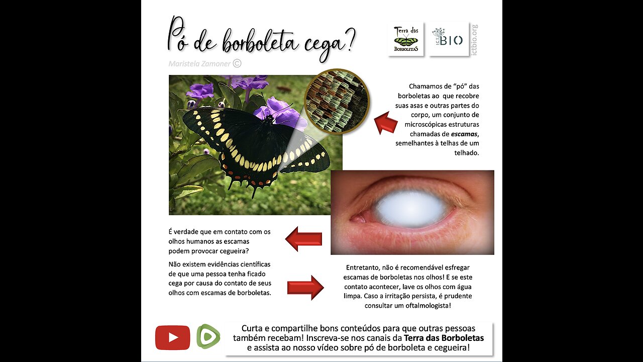 Pó de borboleta cega? Saiba em um minuto!