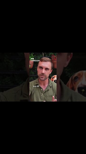 What Do You Think About Big Ring Gauge Cigars? 🐋 - #TheFinalVerdict #cigar #cigars #nub