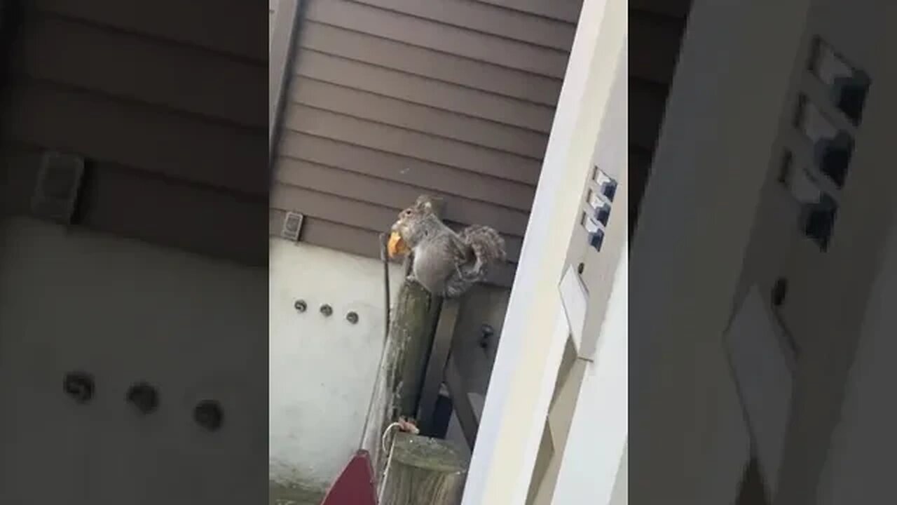 2 Minutes After Delivery tiktok matt hooker
