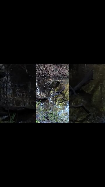 Fairy Fountain? Fountain of Youth? Won't belive what I found while hiking. What do you think it is??