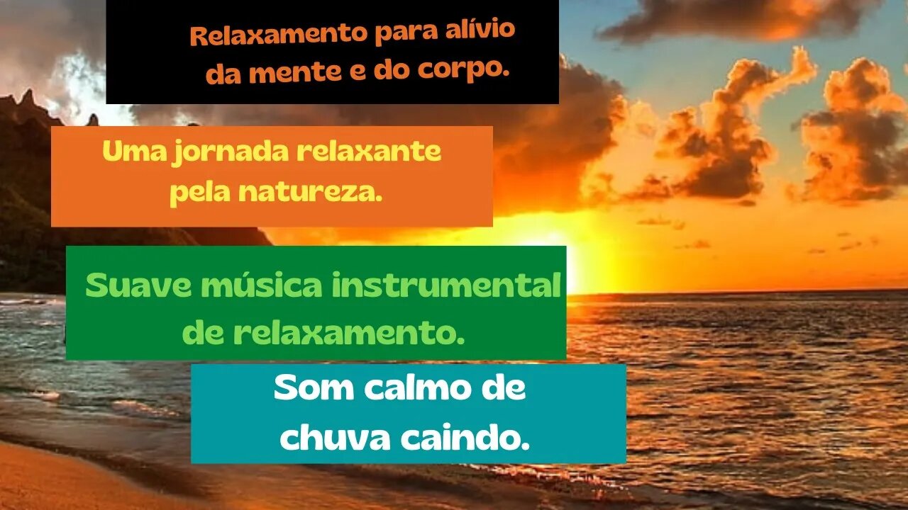 Músicas para Relaxar - "3h de Sons da Natureza: Chuva na Floresta para Relaxar"