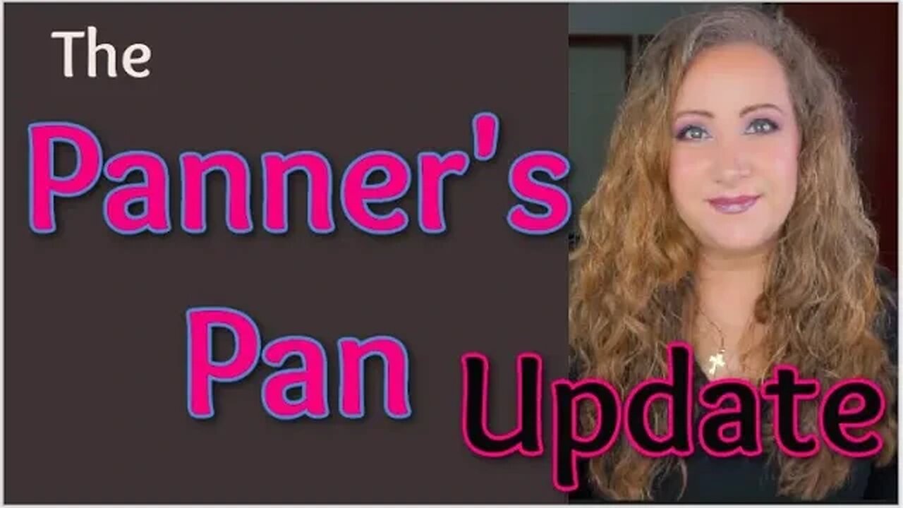 The Panners Pan Project Pan ~ Update 20 | Jessica Lee