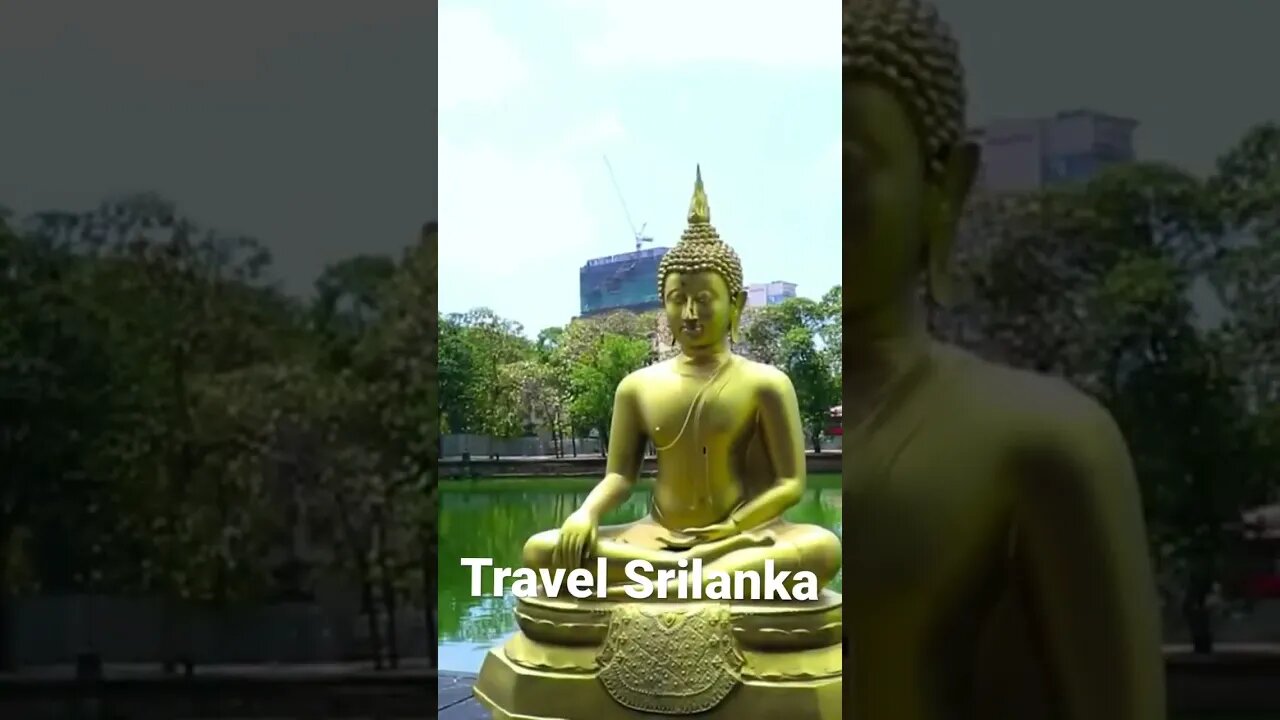 Why you have to Travel to Srilanka