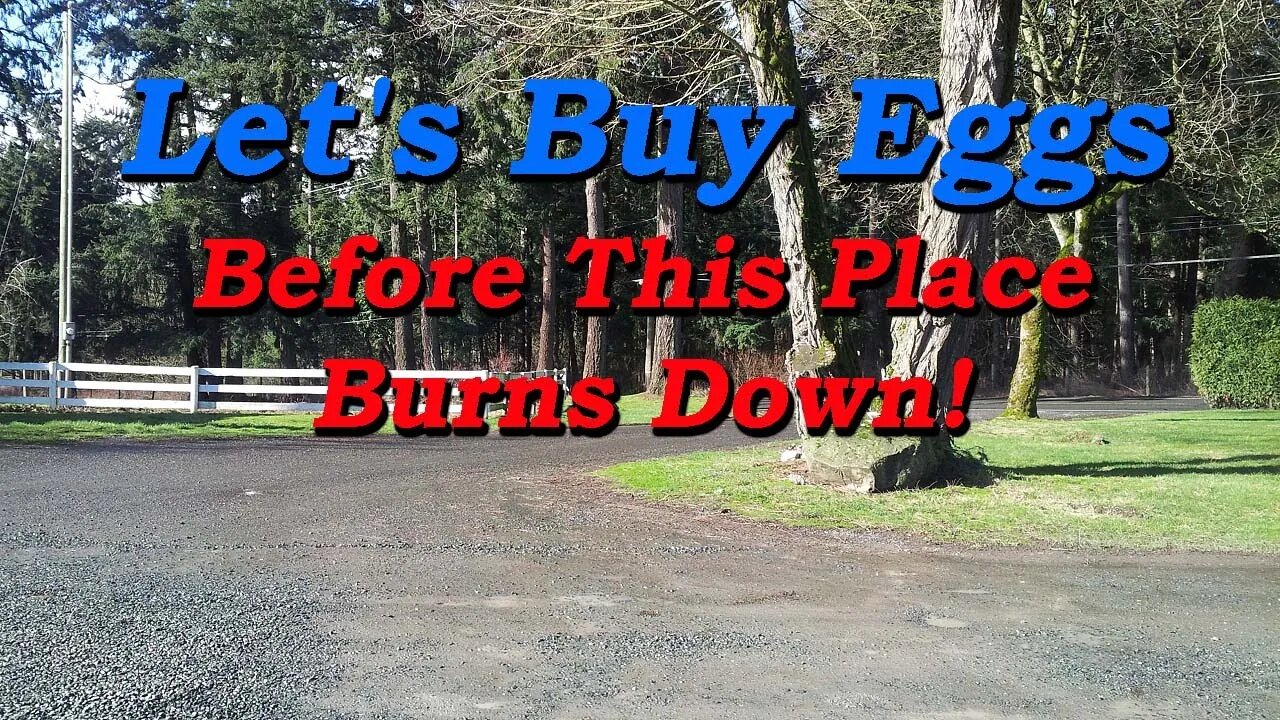 Let's buy some eggs before this place burns down!