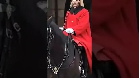 Touching the Reins #thekingsguard