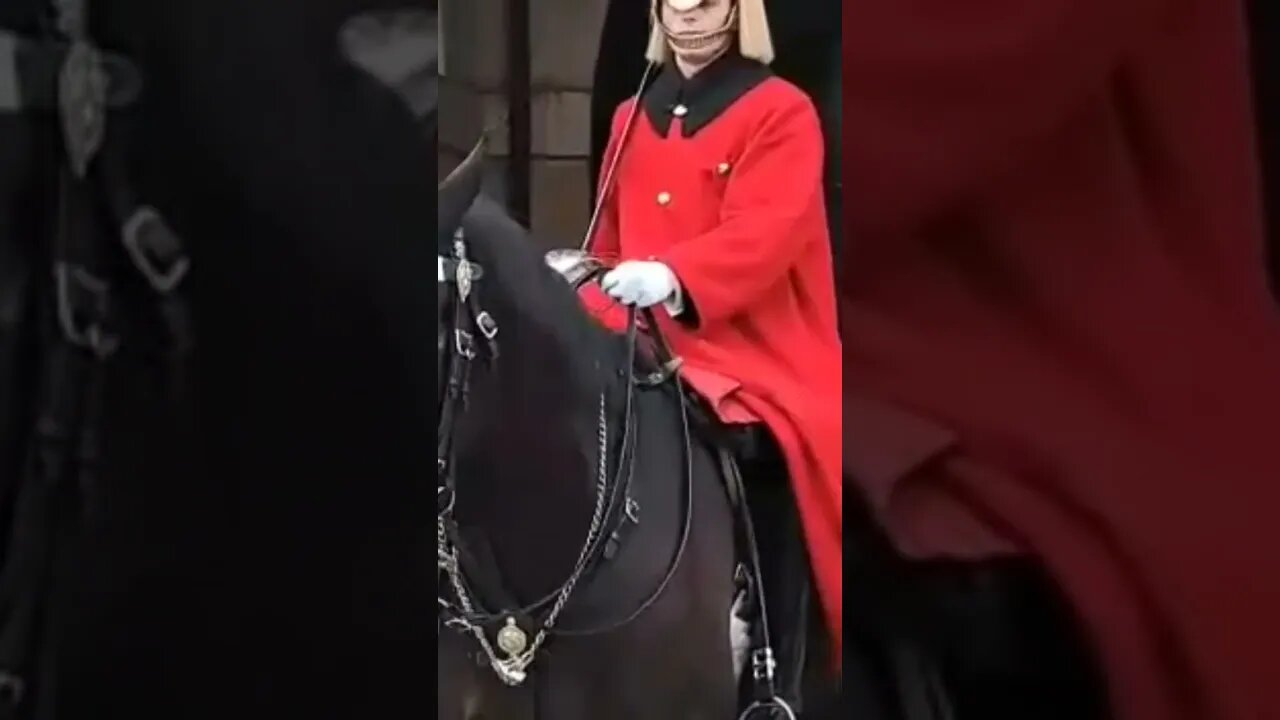 Touching the Reins #thekingsguard