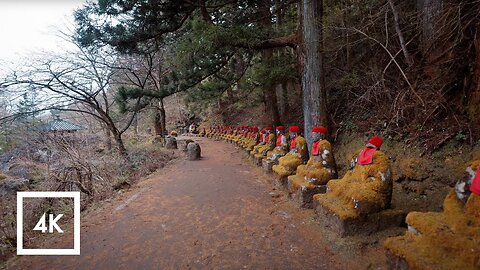 Rainy Day Nature Walk In Nikko, Japan, Relaxing Nature Sounds | 4K