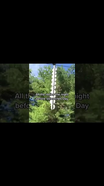 FUNNY VALENTINES MEME | RANDOM ROADHOUSE