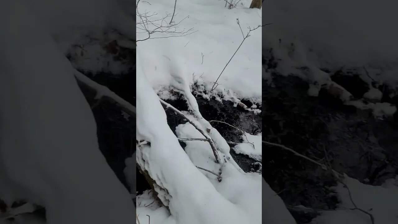 Backwoods Adventure! Finding our frozen streams