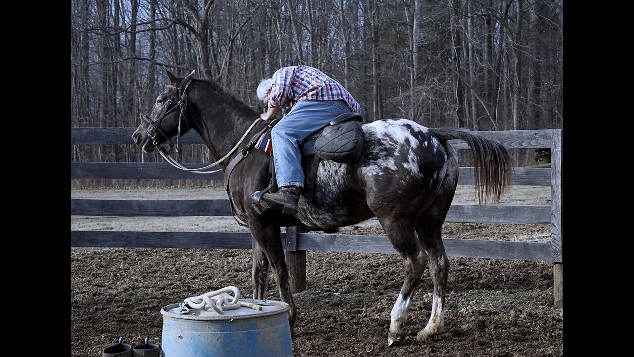 Boss First Ride in Several Years