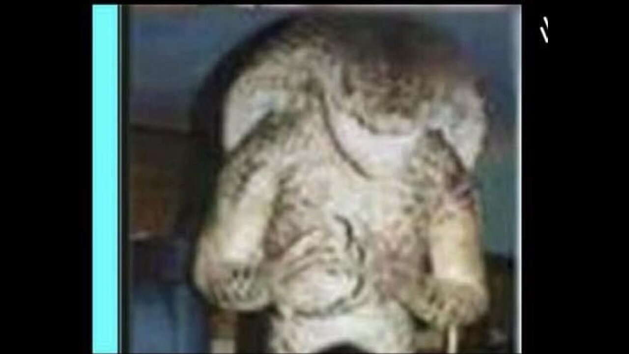 Strange Alien 👽/ Reptilian Pics