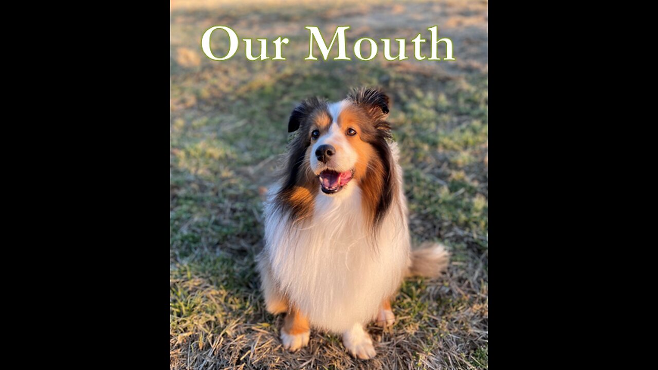 Our Mouth