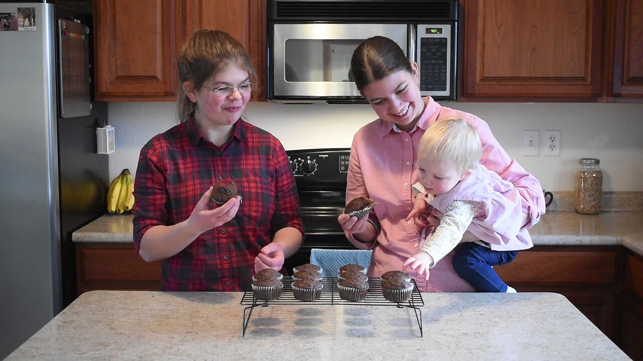 BABY APPROVED Sourdough Chocolate Zuchinni Muffins!