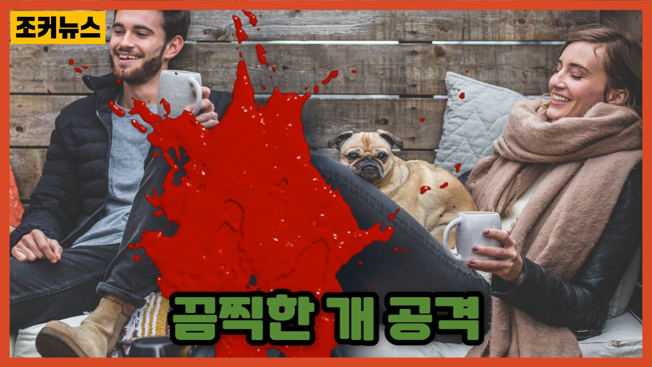 끔찍한 개 공격 dog attack