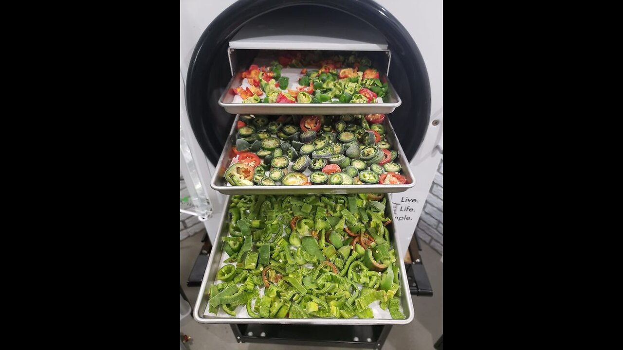 Freeze drying food for the future - Aba Farms Wholesale USA