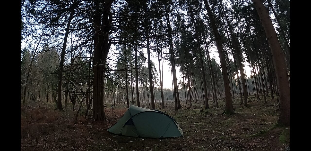 Nightlapse of the Snugpak scorpion 3 tent in a woodland. 21st Jan 2023