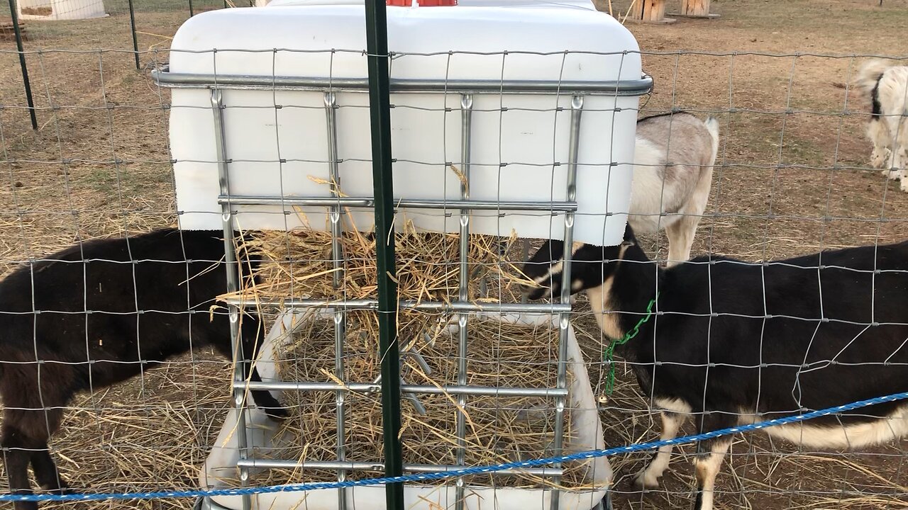 New hay feeder