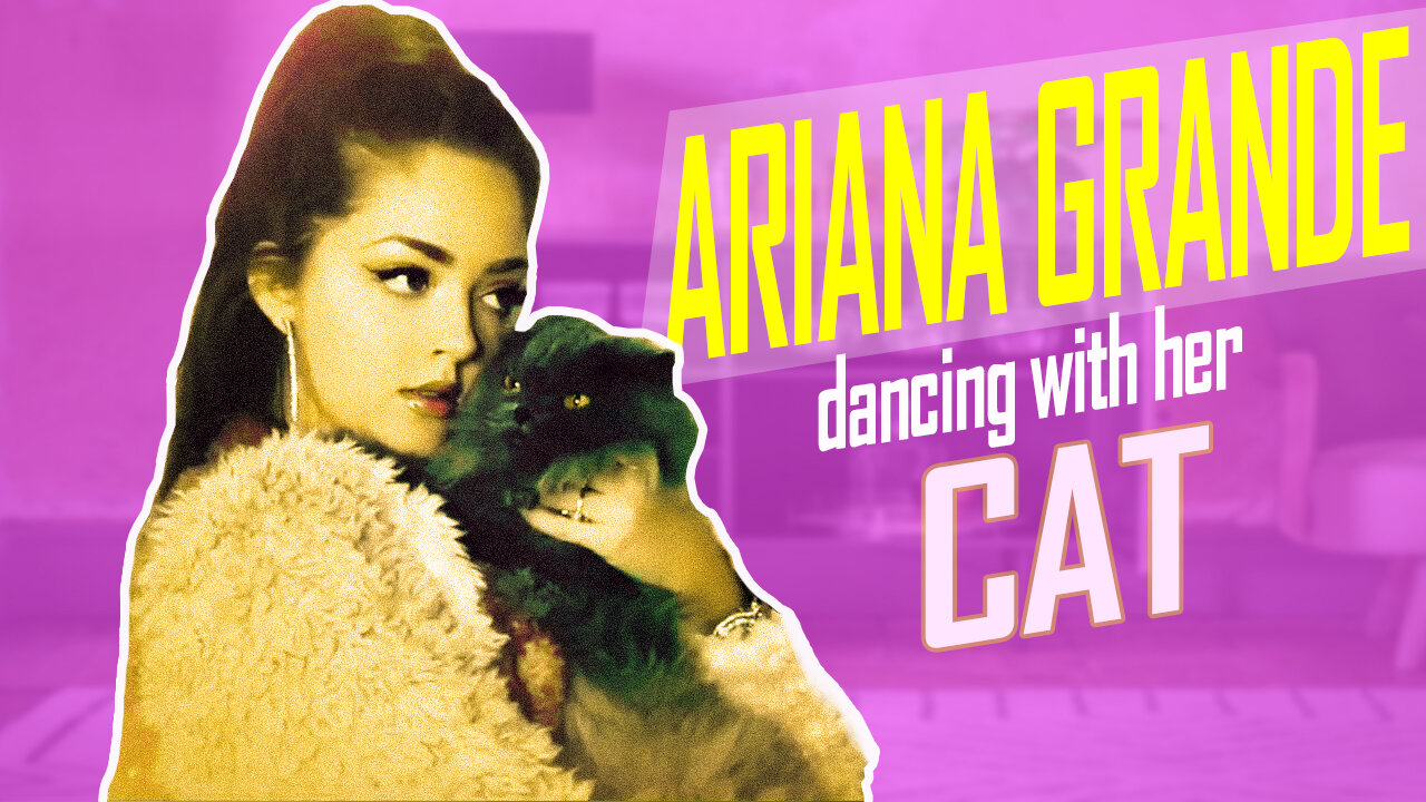 Ariana Grande’s BEST musical performances with her Cat